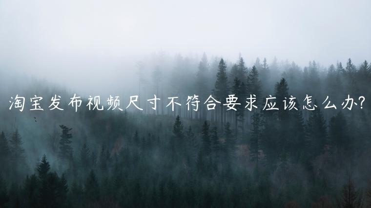 淘寶發(fā)布視頻尺寸不符合要求應(yīng)該怎么辦?